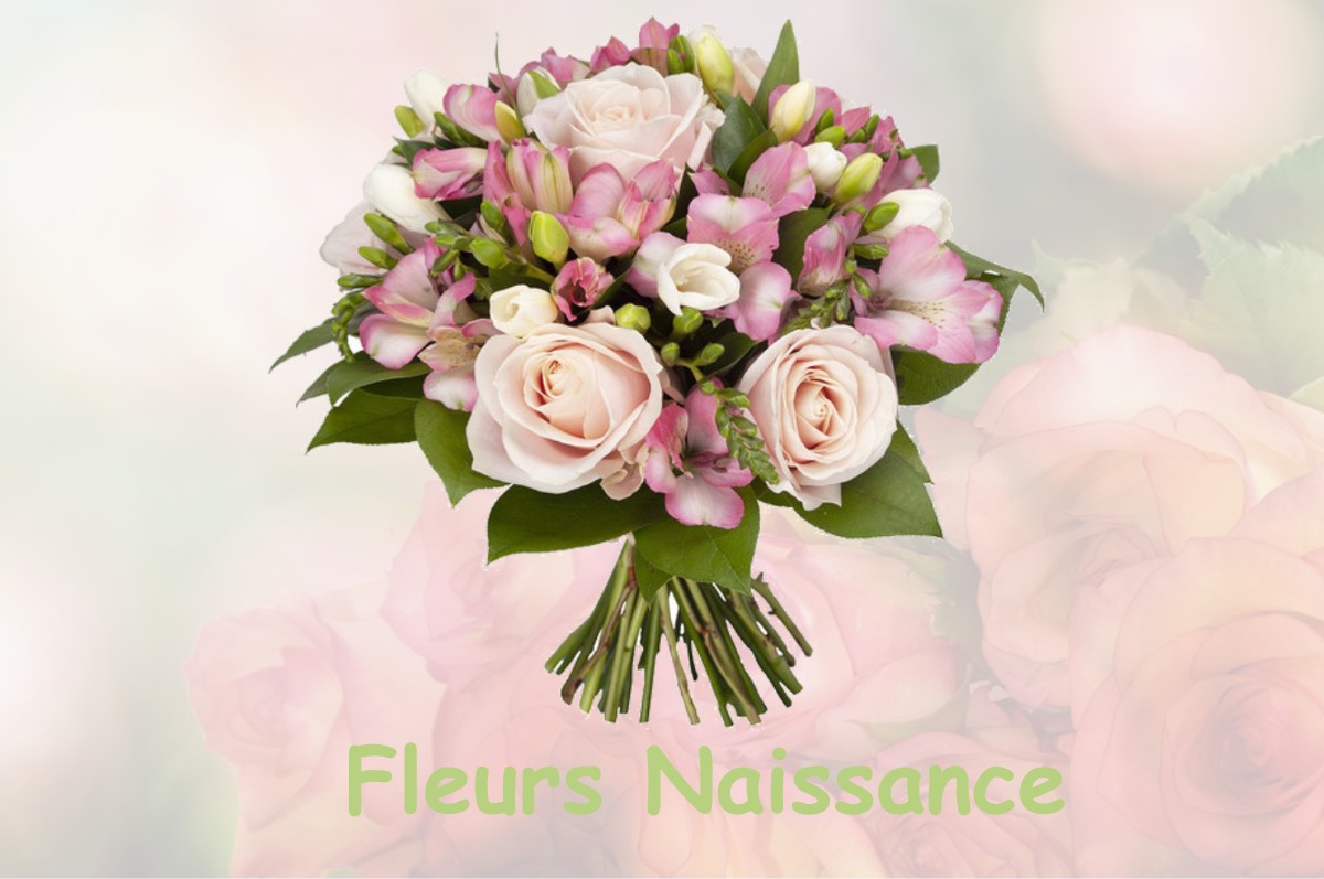 fleurs naissance CHOUX